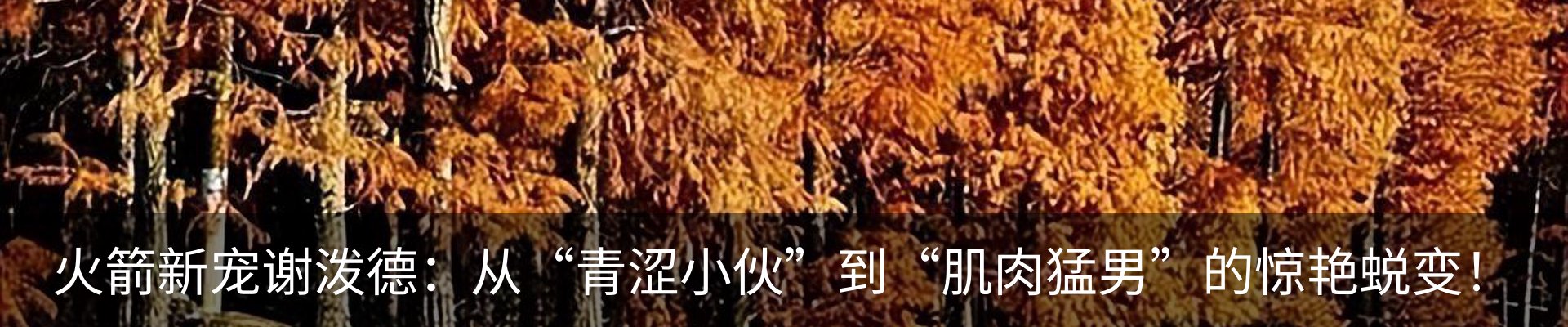 最新动态
