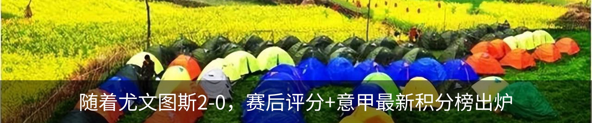 最新动态