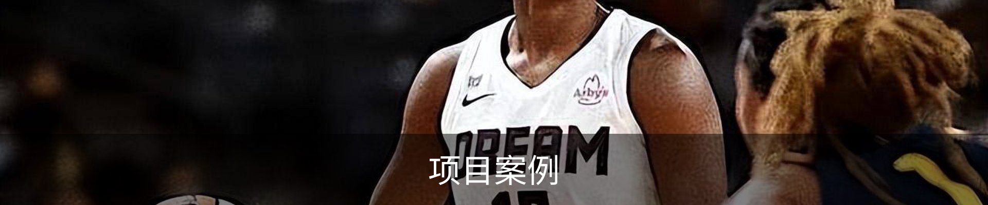 项目案例